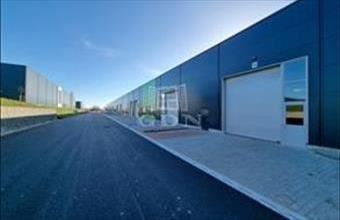 Kiadó Székesfehérvári telephely hirdetés (58157339)