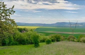 Eladó Héregi egyéb mezőgazdasági ingatlan hirdetés (75736535)