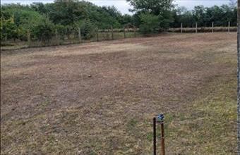 Eladó Nyírpazonyi lakóövezeti telek hirdetés (56576998)