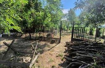 Eladó Nagyhalászi lakóövezeti telek hirdetés (31211592)