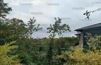 Eladó Budaörsi üdülőövezeti telek hirdetés (27393629)