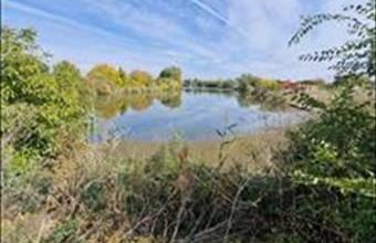 Eladó Békésszentandrási lakóövezeti telek hirdetés (71198867)