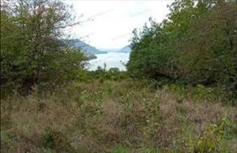 Eladó Zebegényi lakóövezeti telek hirdetés (34597477)