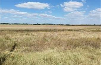 Eladó Hatvani egyéb telek hirdetés (74958331)