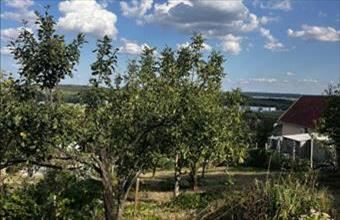 Eladó Pákozdi egyéb telek hirdetés (99131347)