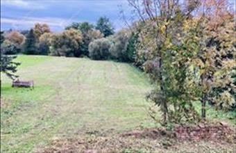 Eladó Zalalövői lakóövezeti telek hirdetés (95483173)