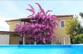 Eladó Horvátországi hétvégi ház hirdetés (31757652)