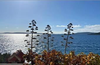 Eladó Horvátországi hétvégi ház hirdetés (81745779)