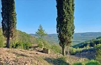 Eladó Horvátországi hétvégi ház hirdetés (74738413)