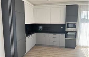 Kiadó Székesfehérvári családi ház hirdetés (48777415)