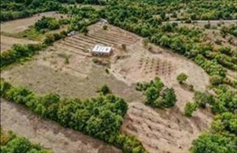 Eladó Horvátországi hétvégi ház hirdetés (67991633)