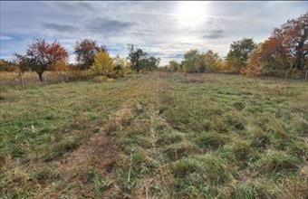 Eladó Szadai lakóövezeti telek hirdetés (62773484)