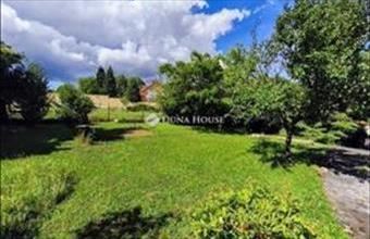 Eladó Pécsi családi ház hirdetés (92917672)