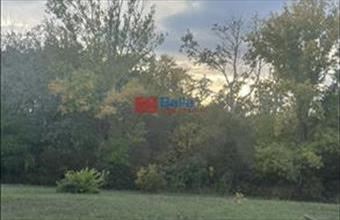 Eladó Agárdi egyéb telek hirdetés (42244789)