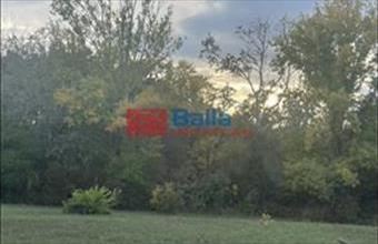 Eladó Agárdi egyéb telek hirdetés (42244789)