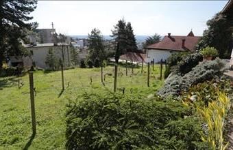 Eladó Pécsi családi ház hirdetés (76144398)