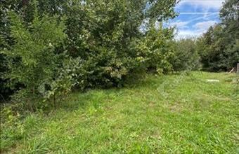 Eladó Fertőhomoki lakóövezeti telek hirdetés (49458937)