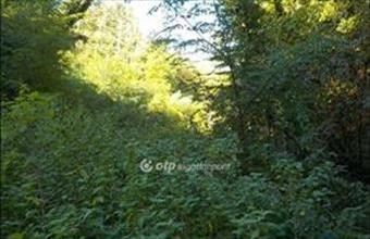 Eladó Kaposvári külterületi telek hirdetés (53598949)