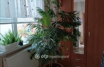 Eladó Nyírgyulaji családi ház hirdetés (72114974)