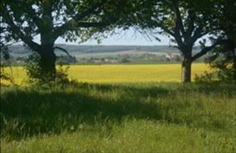 Eladó Olaszfai lakóövezeti telek hirdetés (56446377)