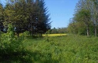 Eladó Olaszfai lakóövezeti telek hirdetés (28428793)