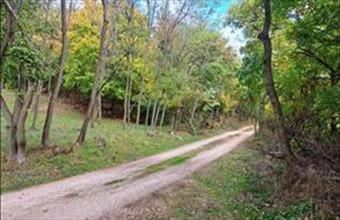 Eladó Szentantalfai egyéb mezőgazdasági ingatlan hirdetés (59492434)