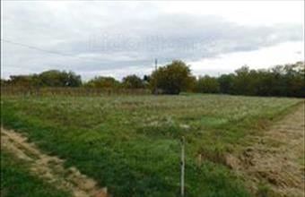 Eladó Szentgyörgyvári egyéb mezőgazdasági ingatlan hirdetés (84371232)