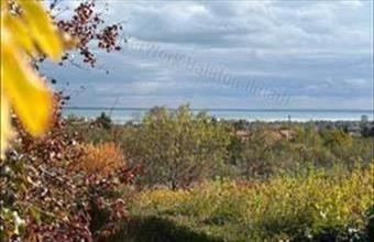 Eladó Balatonalmádi hétvégi ház hirdetés (95524587)