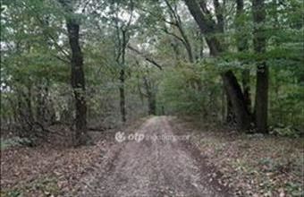 Eladó Tarjáni egyéb mezőgazdasági ingatlan hirdetés (28947844)