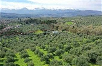 Eladó Görögországi lakóövezeti telek hirdetés (24439143)