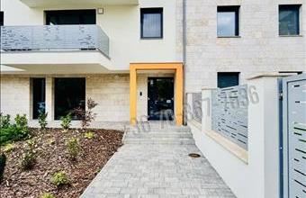 Kiadó Tatai tégla lakás hirdetés (31134495)