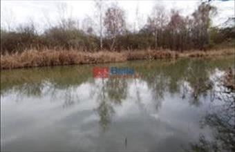 Eladó Dunaharaszti hétvégi ház hirdetés (23232445)