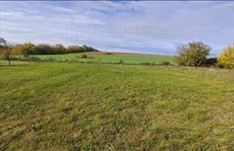 Eladó Szőlősgyöröki lakóövezeti telek hirdetés (56274553)