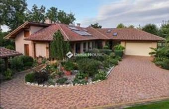 Eladó Kecskeméti családi ház hirdetés (43939355)