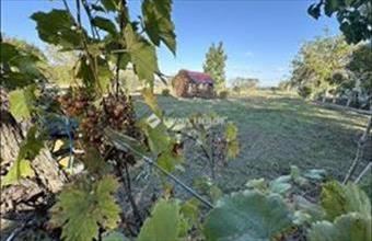 Eladó Szentkirályi tanya hirdetés (52268773)