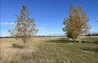 Eladó Mezőörsi lakóövezeti telek hirdetés (38944743)