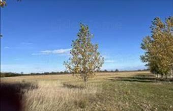 Eladó Mezőörsi lakóövezeti telek hirdetés (38944743)