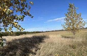 Eladó Mezőörsi lakóövezeti telek hirdetés (38944743)