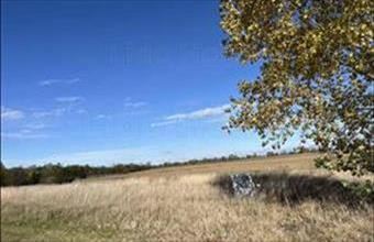 Eladó Mezőörsi lakóövezeti telek hirdetés (46149723)