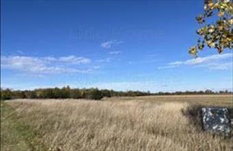 Eladó Mezőörsi lakóövezeti telek hirdetés (46149723)