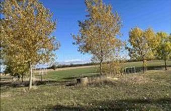 Eladó Mezőörsi lakóövezeti telek hirdetés (46149723)