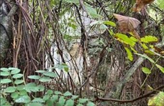 Eladó Bazsi hétvégi ház hirdetés (52427733)