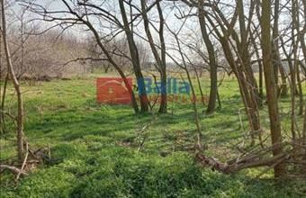 Eladó Tököli egyéb telek hirdetés (33917772)