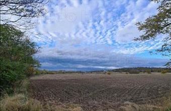 Eladó Fülei lakóövezeti telek hirdetés (83537372)