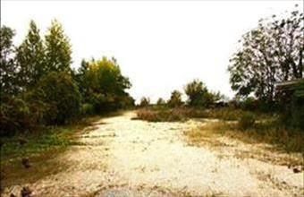 Eladó Balatonszárszói egyéb telek hirdetés (78877993)