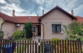 Kiadó Debreceni sorház hirdetés (77216234)