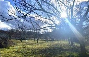 Eladó Sárszentmihályi lakóövezeti telek hirdetés (51591668)