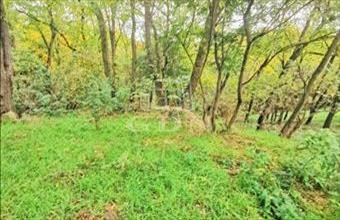 Eladó Gersekaráti lakóövezeti telek hirdetés (98254435)