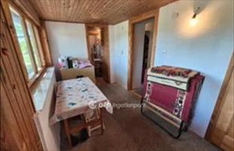 Eladó Szentesi tanya hirdetés (53584734)