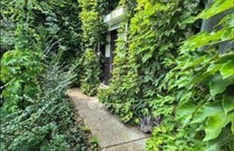 Eladó Szentesi családi ház hirdetés (93492938)